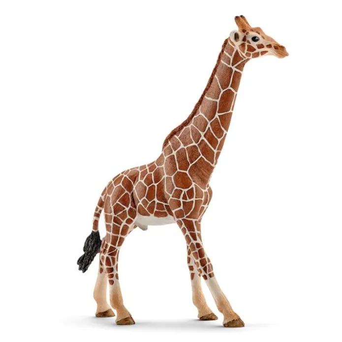 Jirafa macho - Schleich