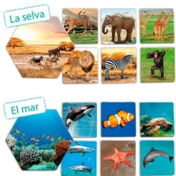Juego de asociación: ¿Dónde viven los animales? - Akros