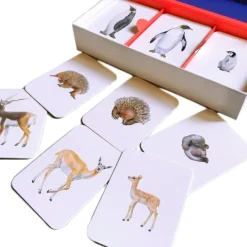 Juego de memoria Familias de animales - MTM