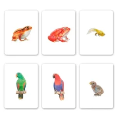 Juego de memoria Familias de animales - MTM