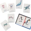 Juego de memoria Un mar de animales - MTM