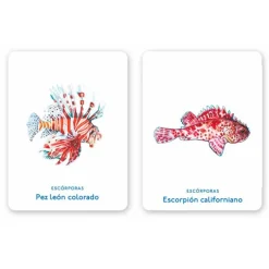 Juego de memoria Un mar de animales - MTM