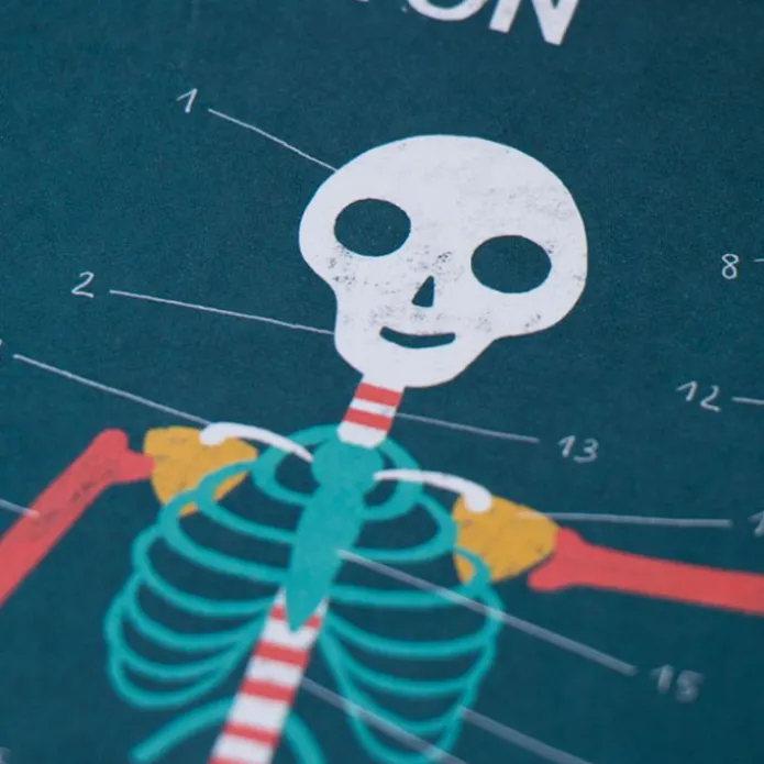 Juego Inside Me Partes del cuerpo - Londji