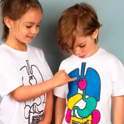 Kit camiseta órganos 6 años DIY - Koa Koa
