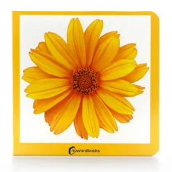 Libro de fotografías Amarillo - Nowordbooks