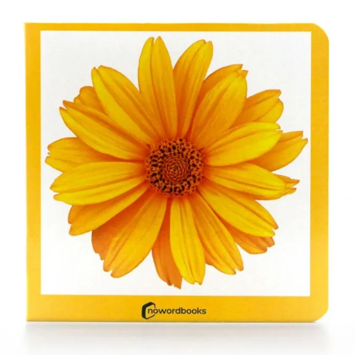 Libro de fotografías Amarillo - Nowordbooks