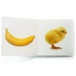 Libro de fotografías Amarillo - Nowordbooks