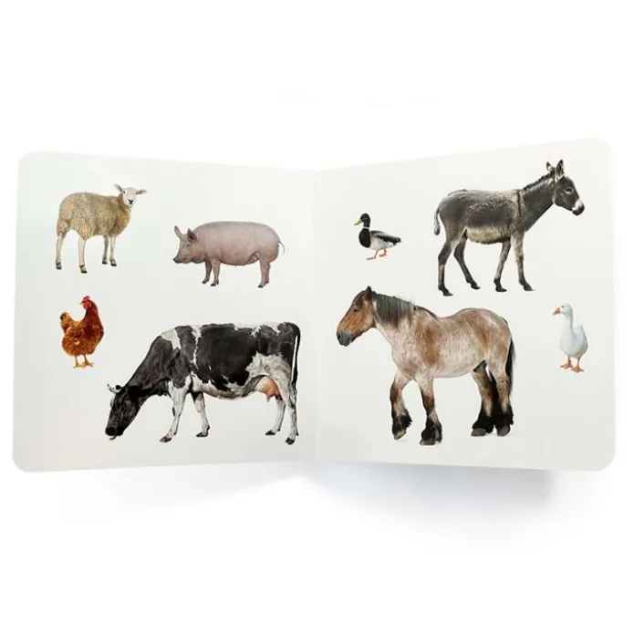 Libro de fotografías Animales de la granja Volumen 2 - Nowordbooks