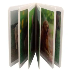 Libro de fotografías Animales de la granja Volumen 1 - Nowordbooks