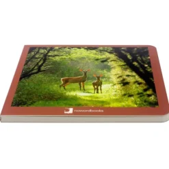 Libro de fotografías animales del bosque Volumen 1 - Nowordbooks