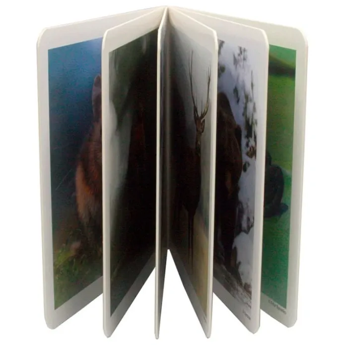 Libro de fotografías animales del bosque Volumen 1 - Nowordbooks