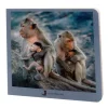 Libro de fotografías animales en familia Volumen 2 - Nowordbooks