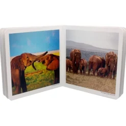 Libro de fotografías animales en familia Volumen 2 - Nowordbooks