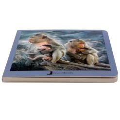 Libro de fotografías animales en familia Volumen 2 - Nowordbooks