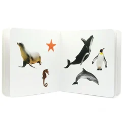 Libro de fotografías Animales Marinos Volumen 2 - Nowordbooks