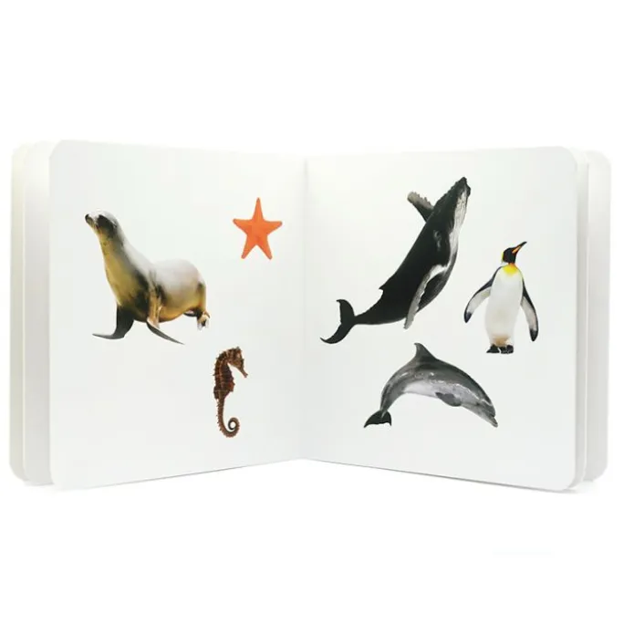 Libro de fotografías Animales Marinos Volumen 2 - Nowordbooks