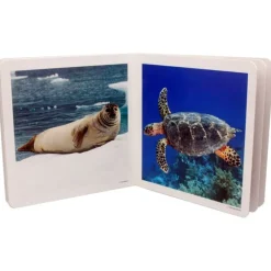 Libro de fotografías animales marinos Volumen 1 - Nowordbooks