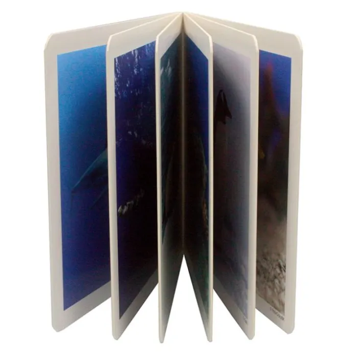 Libro de fotografías animales marinos Volumen 1 - Nowordbooks