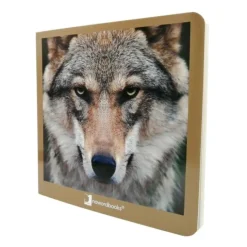Libro de fotografías animales salvajes Volumen 2 - Nowordbooks
