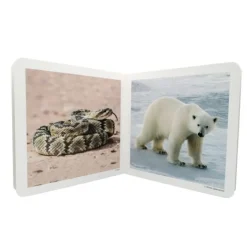 Libro de fotografías animales salvajes Volumen 2 - Nowordbooks