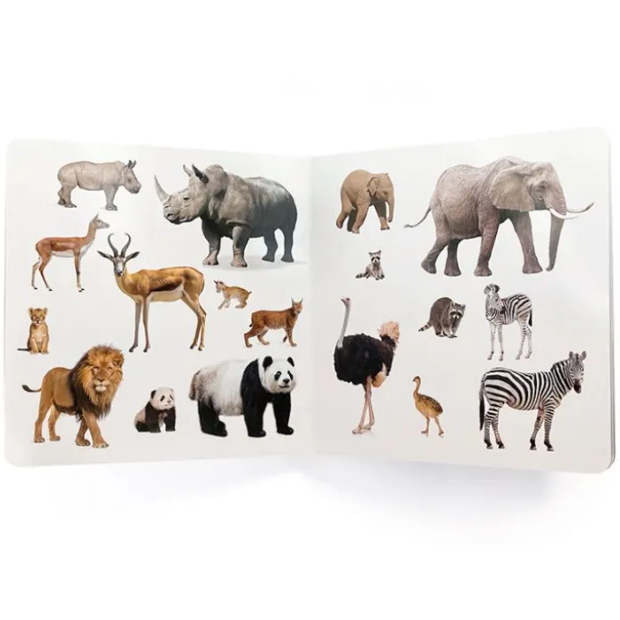 Libro de fotografías Animales salvajes y sus crías - Nowordbooks