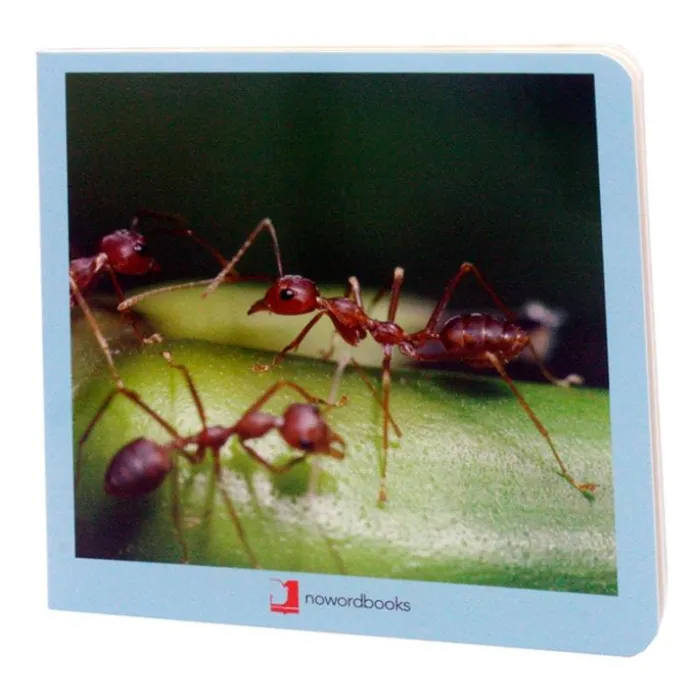 Libro de fotografías animalitos - Nowordbooks