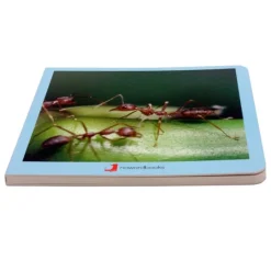 Libro de fotografías animalitos - Nowordbooks
