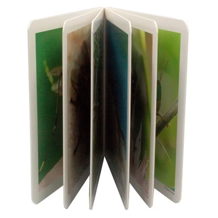 Libro de fotografías animalitos - Nowordbooks