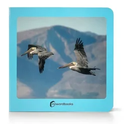Libro de fotografías Aves - Nowordbooks