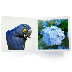 Libro de fotografías Azul - Nowordbooks
