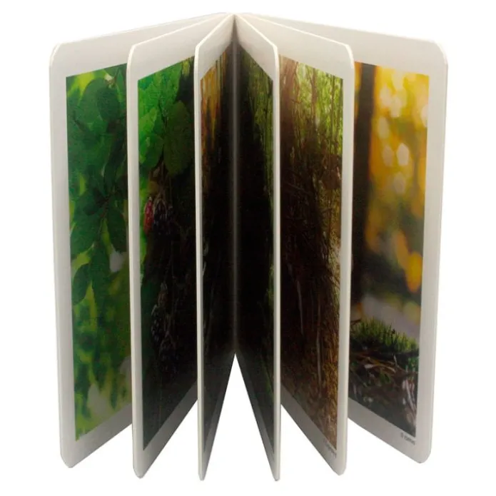 Libro de fotografías bosque - Nowordbooks