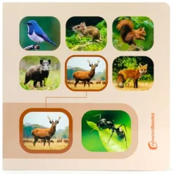 Libro de fotografías Busca y encuentra Animales del bosque - Nowordbooks