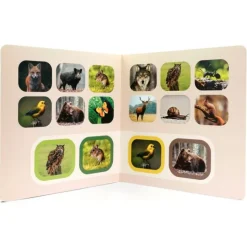 Libro de fotografías Busca y encuentra Animales del bosque - Nowordbooks