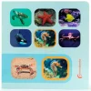 Libro de fotografías Busca y encuentra Animales marinos - Nowordbooks
