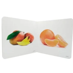Libro de fotografías frutas Volumen 2 - Nowordbooks