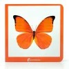 Libro de fotografías Naranja - Nowordbooks