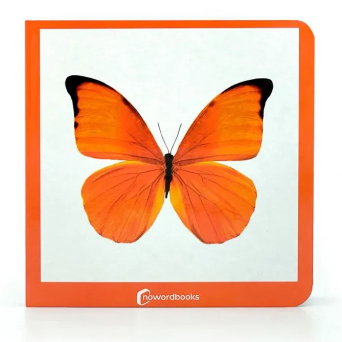 Libro de fotografías Naranja - Nowordbooks