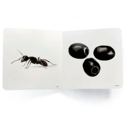 Libro de fotografías Negro - Nowordbooks