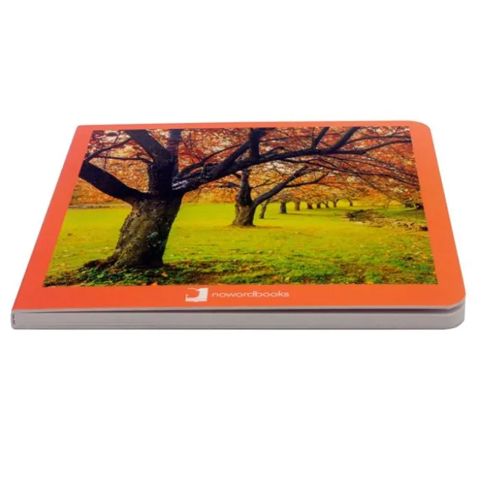 Libro de fotografías otoño - Nowordbooks