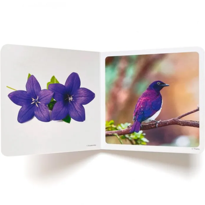 Libro de fotografías Violeta - Nowordbooks