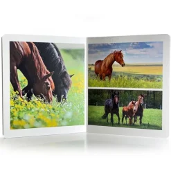 Libro grande de fotografías Animales de la Granja - Nowordbooks