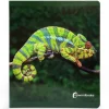 Libro grande de fotografías Animales de la Selva - Nowordbooks