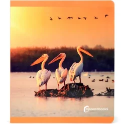 Libro grande de fotografías Aves - Nowordbooks