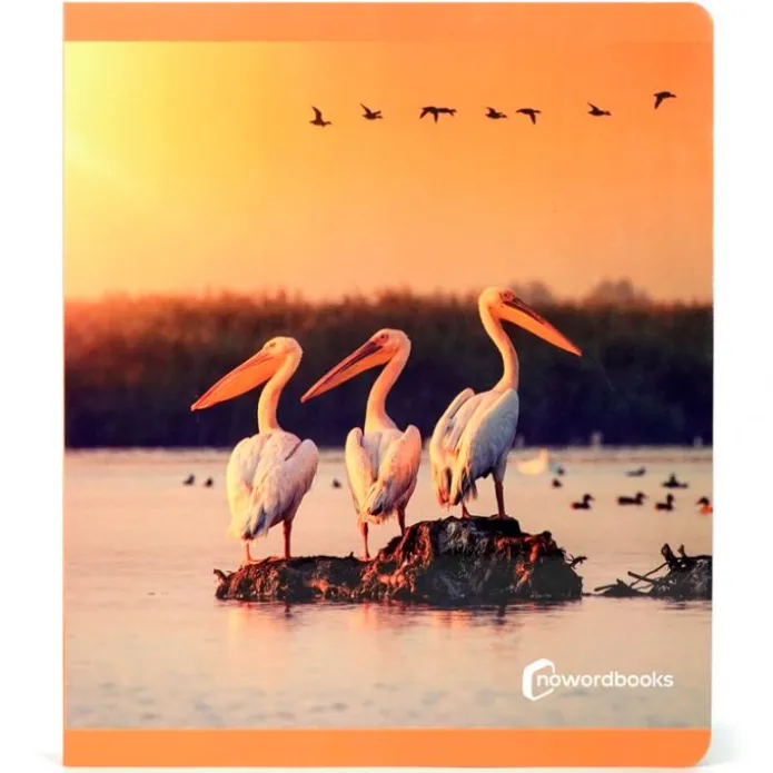 Libro grande de fotografías Aves - Nowordbooks