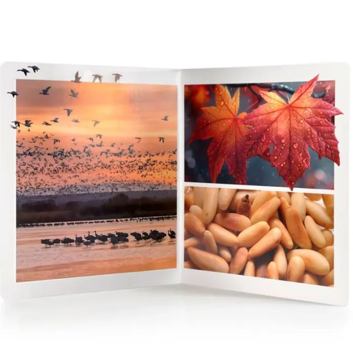Libro grande de fotografías Otoño - Nowordbooks
