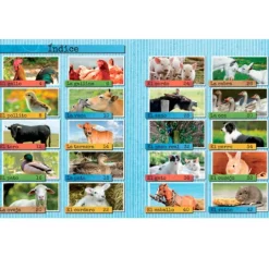 Los animales de la granja - Descubriendo el mundo - Algar