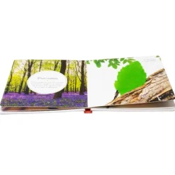 Los animales del bosque - Mi primera biblioteca Montessori