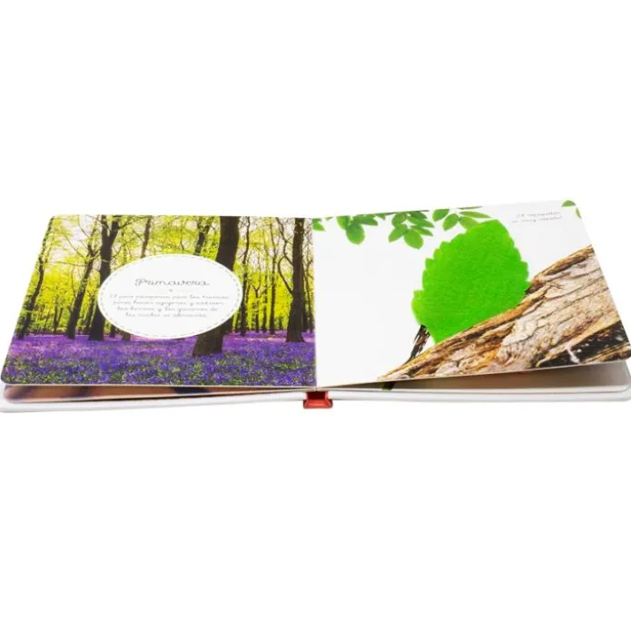 Los animales del bosque - Mi primera biblioteca Montessori