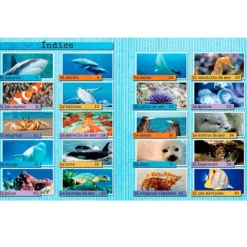 Los animales del mar - Descubriendo el mundo - Algar