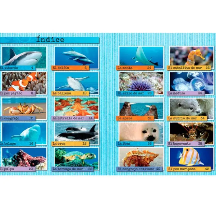 Los animales del mar - Descubriendo el mundo - Algar